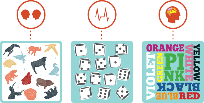 cortex diagram.gif
