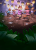 rebel-gra-rodzinna-moje-male-everdell-art1.png