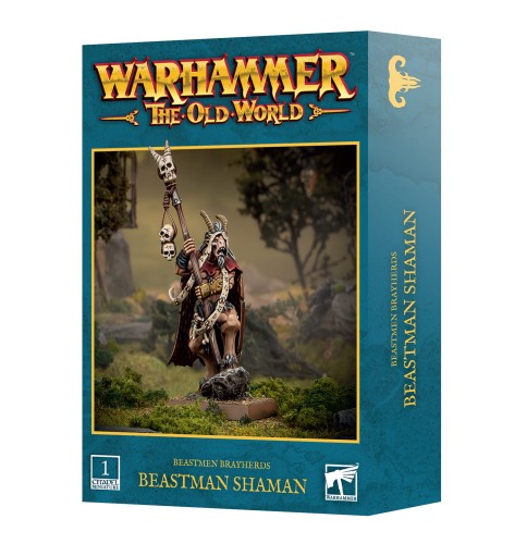 https___trade.games-workshop.com_assets_2025_05_99122716001_TOWBBShaman03 (1).jpg