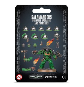 Upgrades & Transfers: Salamanders