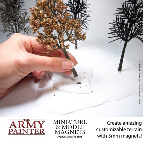 TL5038 Miniature & Model Magnets 05.jpg