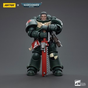 Dark Angels Intercessors Brother Asharr – Figurka JoyToy Warhammer 40k 1/18 12 cm