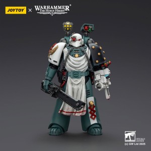 Sons of Horus Legion Apothecary – Figurka JoyToy Warhammer 40K 12 cm