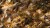 Gamers Grass Golden Autumn Glade Basing Box 6