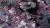 Gamers Grass Purple Swarm Basing Box 7