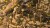 Gamers Grass Mediterranean Temple Basing Box 8