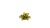 Gamers Grass Laser Plants Dumb Cane 6