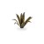 Gamers Grass Laser Plants Agave 2