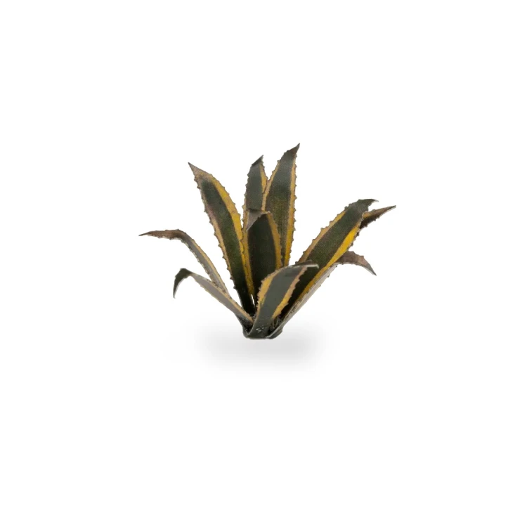 Gamers Grass Laser Plants Agave 2