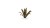 Gamers Grass Laser Plants Agave 4