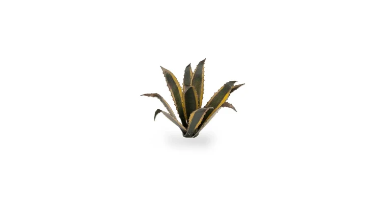 Gamers Grass Laser Plants Agave 4