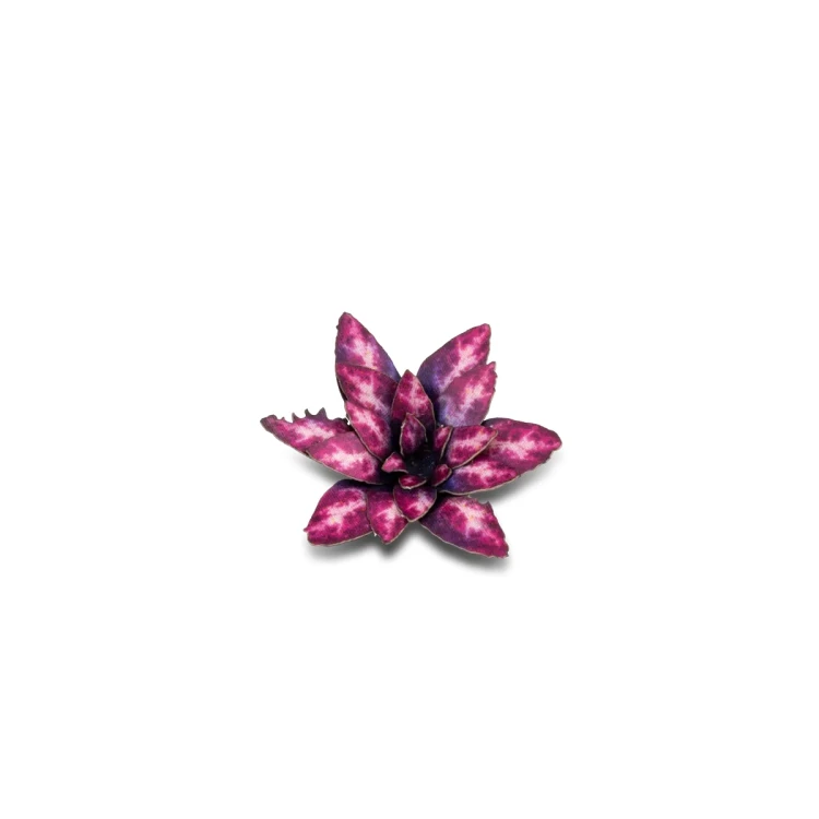 Gamers Grass Laser Plants Alien Rosette 2