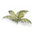 Gamers Grass Laser Plants Bracken 2