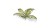 Gamers Grass Laser Plants Bracken 4