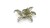 Gamers Grass Laser Plants Bracken 5