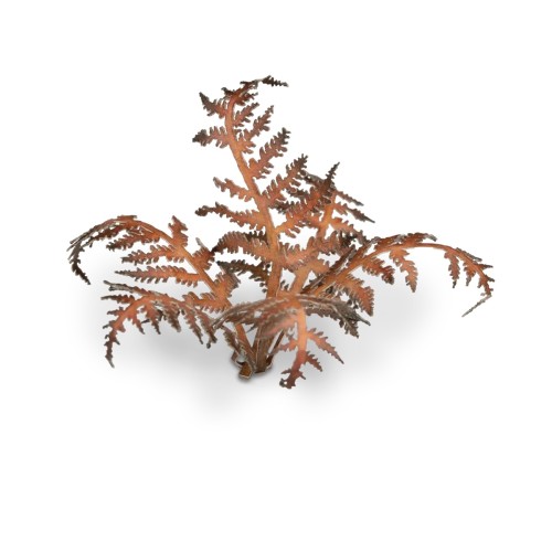Gamers Grass Laser Plants Dry Bracken 2