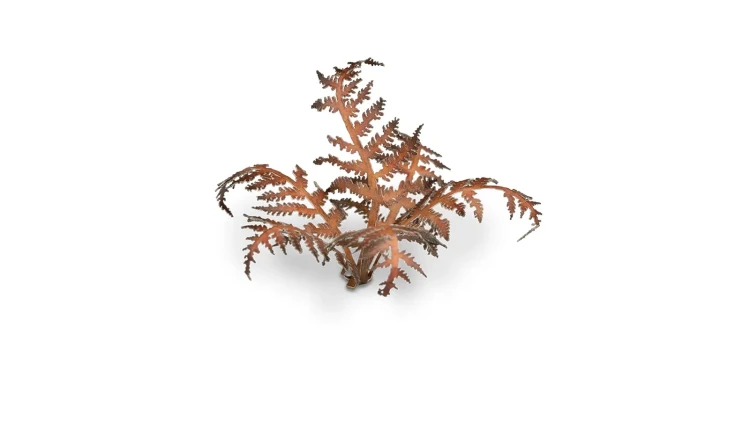 Gamers Grass Laser Plants Dry Bracken 4