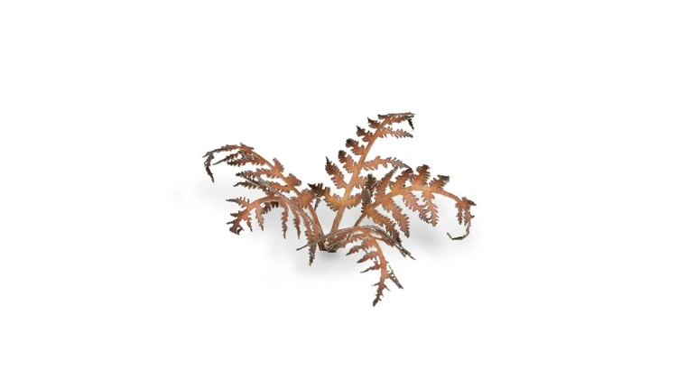 Gamers Grass Laser Plants Dry Bracken 6