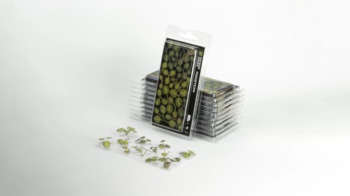 Gamers Grass Laser Plants Monstera 1