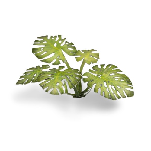 Gamers Grass Laser Plants Monstera 2