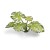 Gamers Grass Laser Plants Monstera 2