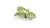 Gamers Grass Laser Plants Monstera 4