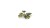 Gamers Grass Laser Plants Monstera 5