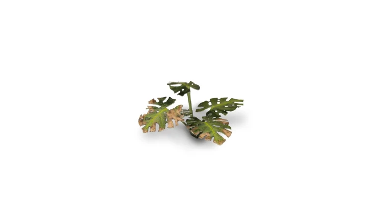 Gamers Grass Laser Plants Monstera 5