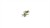 Gamers Grass Laser Plants Plantain Lily 4