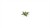 Gamers Grass Laser Plants Plantain Lily 5