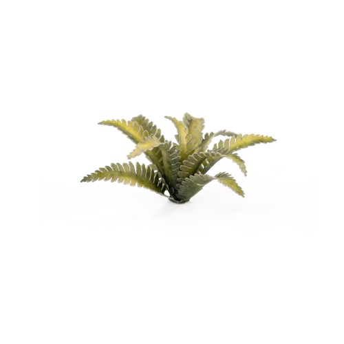 Gamers Grass Laser Plants Deer Fern 2