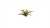 Gamers Grass Laser Plants Deer Fern 4