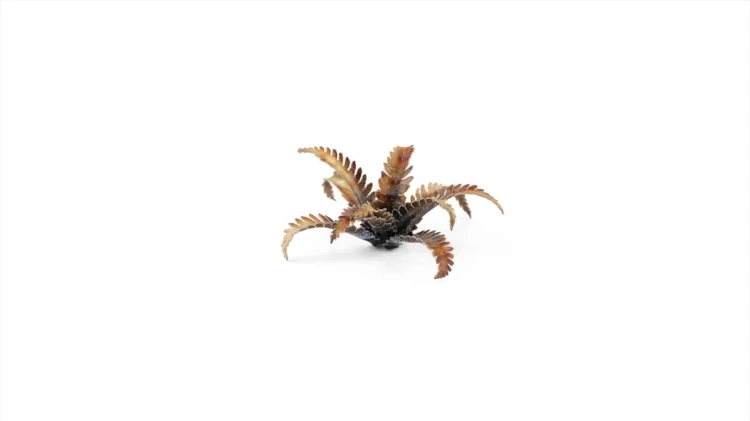 Gamers Grass Laser Plants Alien Fern 5