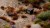 Gamers Grass Brown 4mm Small 7