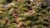 Gamers Grass Strong Green 6mm Wild 7