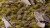 Gamers Grass Mixed Green 6mm Wild 7