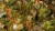 Gamers Grass Dry Green 2mm 5