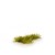 Gamers Grass Moss 2mm 2