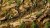 Gamers Grass Dark Moss 2mm 5