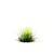 Gamers Grass Alien Toxic 2
