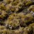 Gamers Grass Marshland Set 2