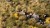 Gamers Grass Highland Tuft Set 5