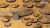 Gamers Grass Deserts of Maahl Round 25mm (x10) 4
