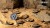 Gamers Grass Deserts of Maahl Round 28mm (x8) 4