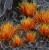 Gamers-grass-alien-fire-tuft-6mm.jpg