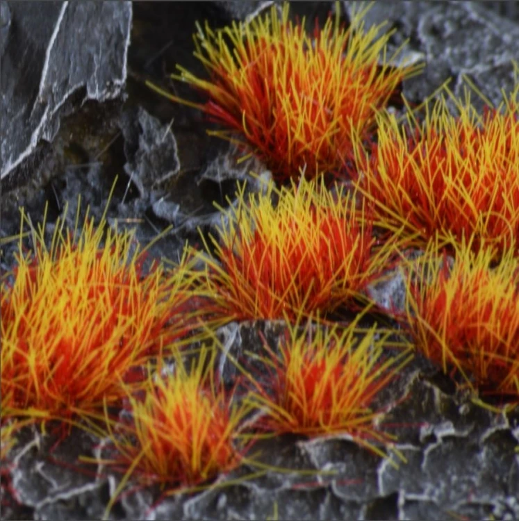 Gamers-grass-alien-fire-tuft-6mm.jpg
