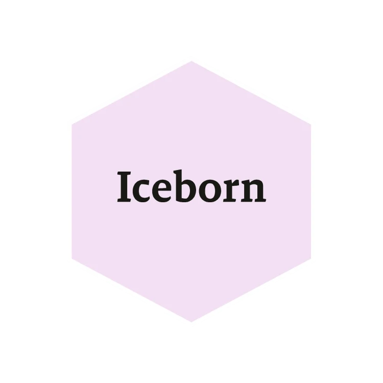 John Blanche: Iceborn
