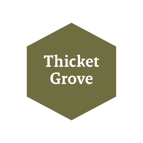 John Blanche: Thicket Grove