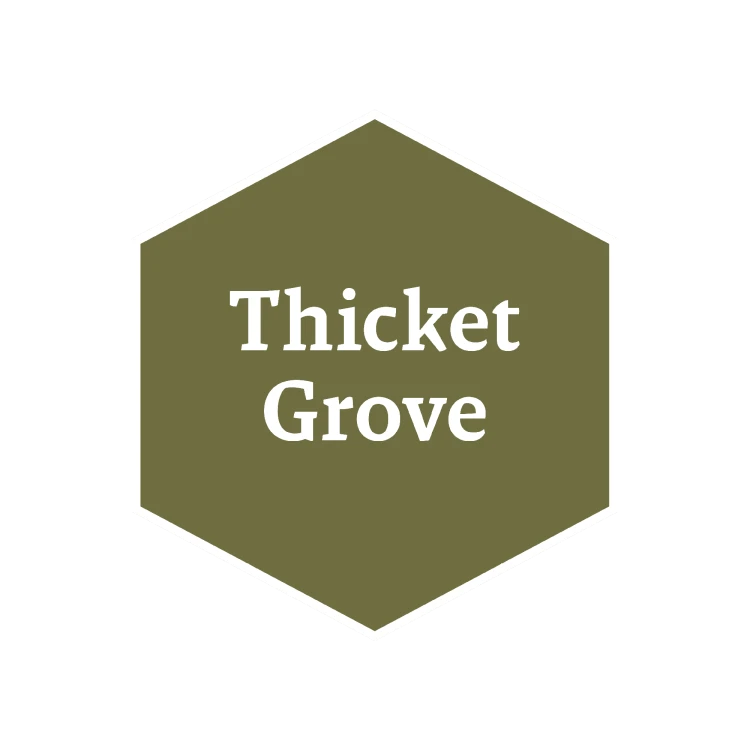 John Blanche: Thicket Grove