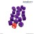 Starcraft - Zerg Custom Dice Set